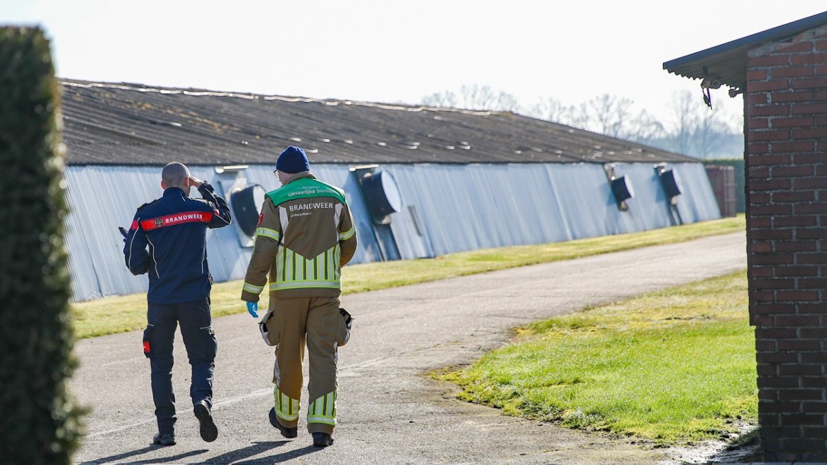Nieuw onderzoek in Ospel na meldingen geuroverlast